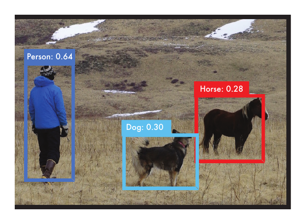 Photograph of a hillside with a person in a blue jacket on the left, a dog in the middle, and a horse on the right. Each object is enclosed in a colored bounding box labeled with its class and a confidence score: 'Person: 0.64' (blue), 'Dog: 0.30' (cyan), 'Horse: 0.28' (red).